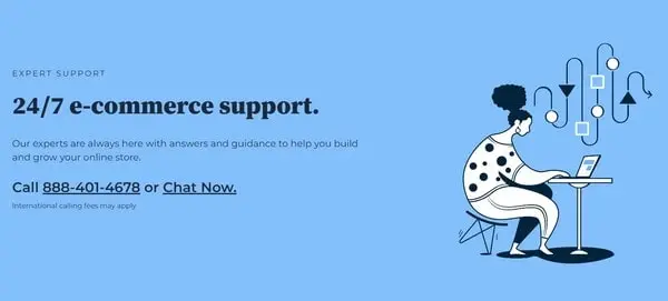 The Bluehost support team is one of the best in the industry