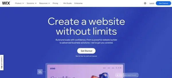 Wix is the top popular site builders