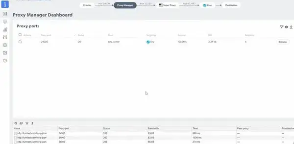 Proxy Manager
